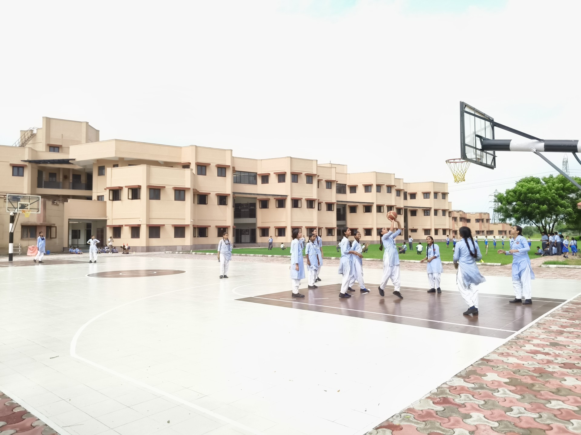 Sports Activity 2025-2026